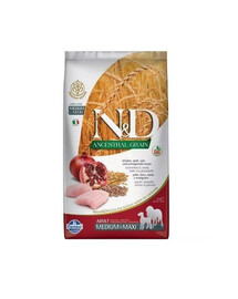 Farmina N&D Ancestral Chicken Pomegranate Adult Medium&Maxi 12 kg - granule pro dospělé psy středních a velkých plemen Kuře s granátovým jablkem