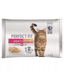 Perfect Fit Cat Adult Beef and Chicken 4x85g - vlhké krmivo pro kočky v omáčce z hovězího masa s mrkví a kuřecího masa s hráškem 340g