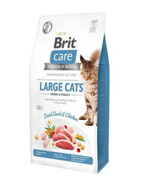 Brit Care Cat Grain Free Large Cats 2 kg - granule pro dospělé kočky velkých plemen