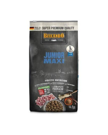 BELCANDO Junior Maxi L-XL 12,5 kg granule pre psy veľkých plemien od 4 mesiacov