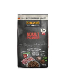 BELCANDO Power M-XL granule pre veľmi aktívnych psov a sučky v období ruje 12,5 kg