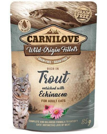 CARNILOVE pstruh & Echinacea 24x 85 g mokré krmivo pre mačky pstruh & Echinacea