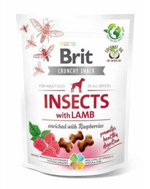BRIT Care Dog Crunchy Crakcer Insect&Lamb 200 g chrumkavé maškrty s hmyzom a jahňacím mäsom pre dospelých psov 200 g