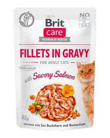 BRIT Care filety v slanej omáčke z lososa 24x 85 g filétov z lososa v omáčke