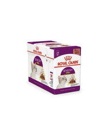 ROYAL CANIN Sensory Smell gravy kapsičky pre mačky stimulujúce čuch 12x 85 g