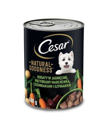 CESAR konzerva pre psov 6x 400 g mäso, zelenina