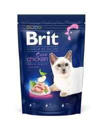 BRIT Cat Premium by Nature kura pre dospelých 300 g