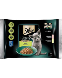 SHEBA Kitten Výber príchutí v omáčke 4x85g krmivo s lososom a kuracím mäsom pre mačiatka