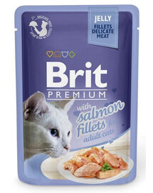 BRIT Premium Cat  Fillets in Jelly krmivo s lososom pre mačky 24x85 g