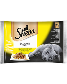 SHEBA Delicacy Fine Flakes Hydinové príchute vrecúška 52x85 g kompletné krmivo pre dospelé mačky v kúskoch želé s: kačicou, kuracím mäsom, hydinou, morkou