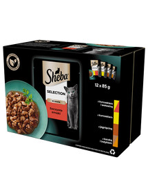 Sheba Selection in Sauce Juicy Flavors krmivo pre mačky v omáčke (s hovädzím, s jahňacím, s kuracím mäsom, s morčacím mäsom) vrecko 12x85 g
