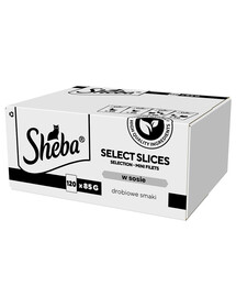 SHEBA Selection Select Slices hydinové maškrty v omáčke 120x85 g v kúskoch s omáčkou s: kačica, kuracie mäso, hydina, kačica a morka pre dospelé mačky