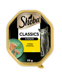 SHEBA Classics Hydinový koktail 85g - krmivo pre mačky v paštéte 85g