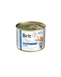 BRIT Veterinary Diet Grain Free Recovery 200 g losos a kuracia pečeň pre psy a mačky počas rekonvalescencie