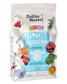 DOLINA NOTECI Premium Junior Jagnięcina karma suszona dla psa 4 kg