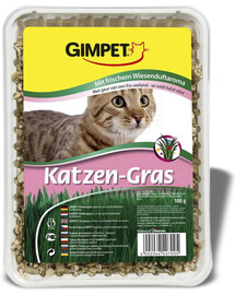 GIMPET mačacia tráva (katzen-gras) 150g nádoba sk