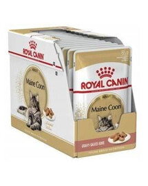 ROYAL CANIN Maine Coon karma mokra w sosie dla kotów dorosłych rasy maine coon 12x85g