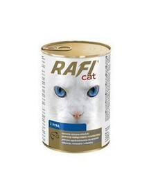 Rafi Cat s lososom v omáčke 415G