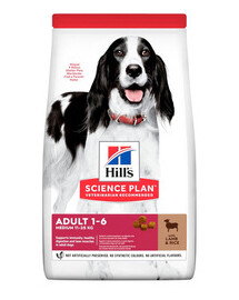 HILL'S Science Plan Canine Adult Medium Lamb & Rice 18 kg