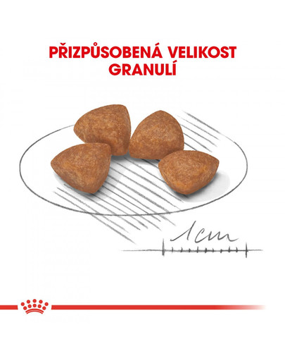 ROYAL CANIN X-Small puppy 500g granule pre miniatúrne šteňatá