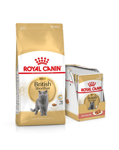 ROYAL CANIN British Shorthair 10 kg + British Shorthair kapsičky 12x85 g