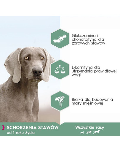 EUKANUBA Daily Care Adult Sensitive Joints 2.3 kg