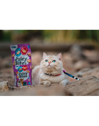 INABA Churu Cat Juicy Bites Broth&Calamari Flavor 3x11,3g