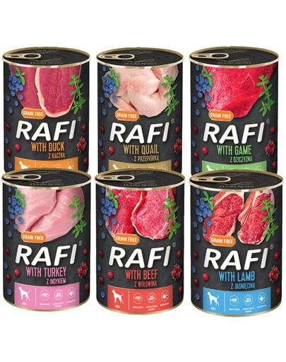 DOLINA NOTECI Rafi Premium Mix príchute 48x400g
