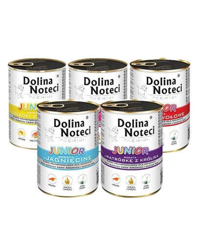 DOLINA NOTECI Premium Junior Mix príchutí 48x400g