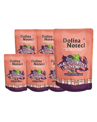 DOLINA NOTECI Superfood Homár a krevety 10x85g