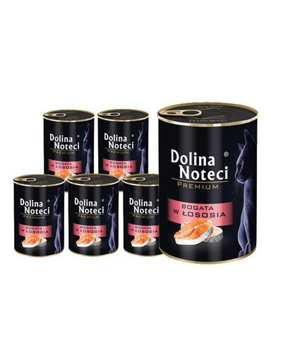 DOLINA NOTECI Lososová mačka Premium 12x400 g