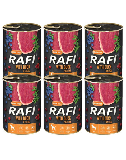 DOLINA NOTCI RAFI Kačica 6x400 g