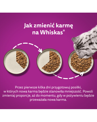 WHISKAS Vlhké krmivo pre mačky Adult 48x85g Cream Variations v omáčke s kuracím mäsom a zeleninou, jahňacím mäsom a morčacím mäsom