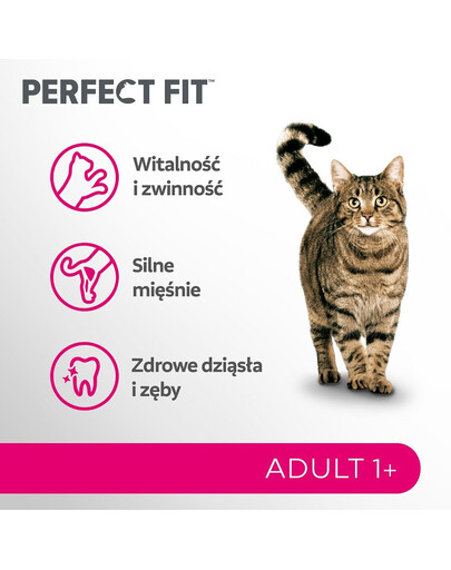 PERFECT FIT Adult 1+ Bogata w wołowinę 7 kg sucha karma pełnoporcjowa dla dorosłych kotów