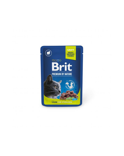 BRIT PREMIUM Pouch Lamb Sterilized 24x100g