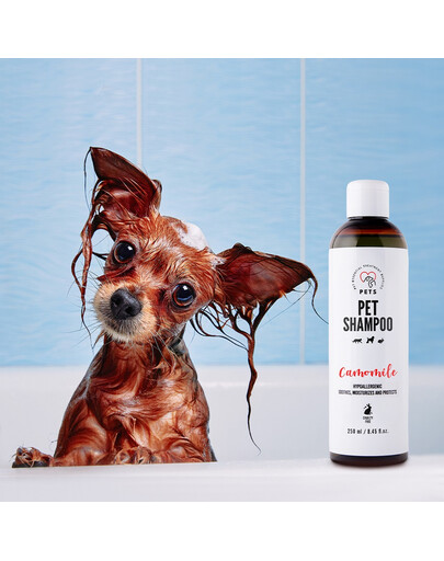 PETS Shampoo Harmančekový šampón pre citlivú pokožku 250 ml