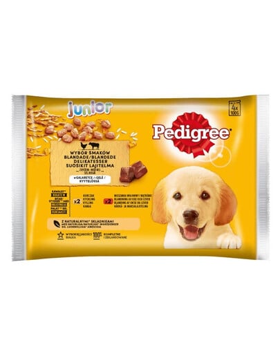 Pedigree Junior 4x100 g kapsičky pre mladých psov (s hovädzím a kuracím mäsom)