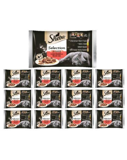 SHEBA Selection in Sauce mokré krmivo pre mačky s hovädzím, jahňacím, kuracím, morčacím mäsom 52x 85 g