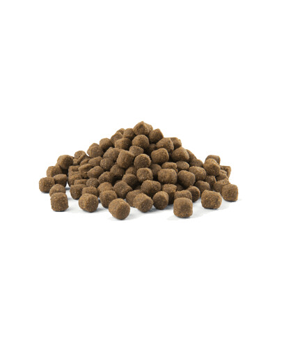 Versele - Laga Opti Life Senior 2,5 kg - granule pro starší psy