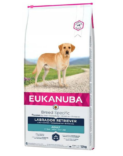 Eukanuba Dog Dry Breed Specific All Labrador Retriever Chicken 12 kg granule pre psov