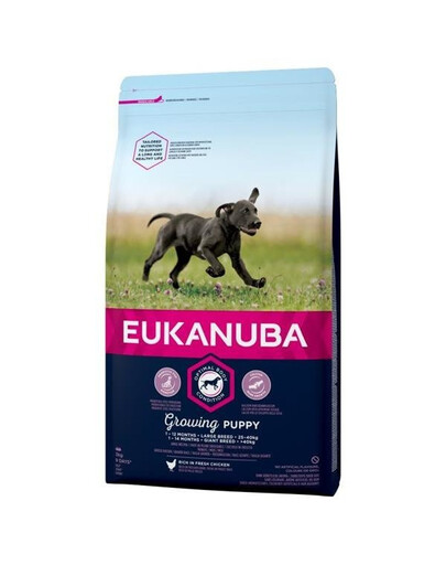 Eukanuba Puppy Large Breed Chicken granule pre psy s kuracím mäsom 15 kg