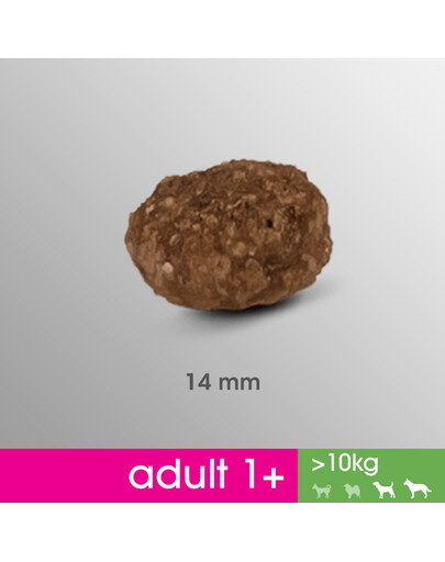 Perfect Fit Adult 1+ Rich in Chicken M/L 825 g granule pre dospelých psov stredných a veľkých plemien 825 g