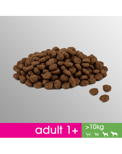 Perfect Fit Adult 1+ Rich in Chicken M/L 825 g granule pre dospelých psov stredných a veľkých plemien 825 g