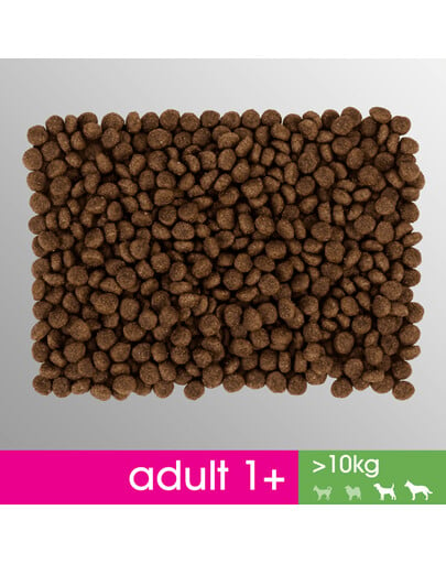 Perfect Fit Adult 1+ Rich in Chicken M/L 825 g granule pre dospelých psov stredných a veľkých plemien 825 g