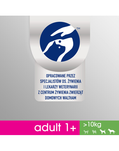 Perfect Fit Adult 1+ Rich in Chicken M/L 825 g granule pre dospelých psov stredných a veľkých plemien 825 g