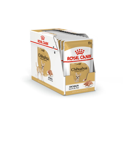 ROYAL CANIN Chihuahua Adult mokré krmivo - paštéta, pre dospelé psy čivavy 12x85g