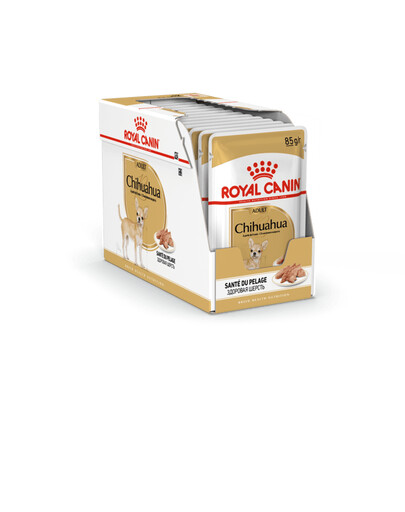 ROYAL CANIN Chihuahua Adult mokré krmivo - paštéta, pre dospelé psy čivavy 12x85g