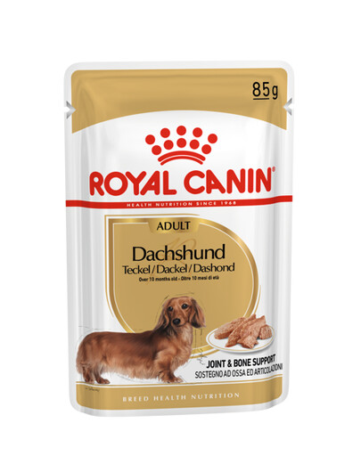 ROYAL CANIN Suché krmivo pre jazvečíky - paštéta, pre dospelých psov jazvečíkov 12x85g