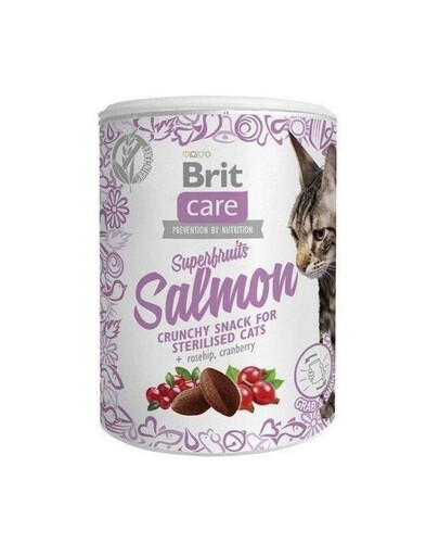 Brit Care Cat Snack Superfruits Salmon 100g - pamlsky pro kočky losos 100g