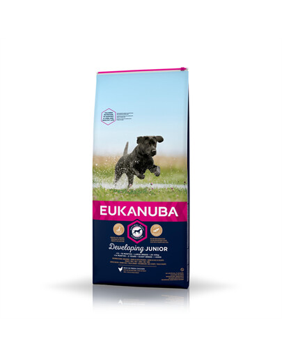 Eukanuba Junior Large Breed Chicken 15 kg - suché krmivo pro psy s kuřecím masem 15kg